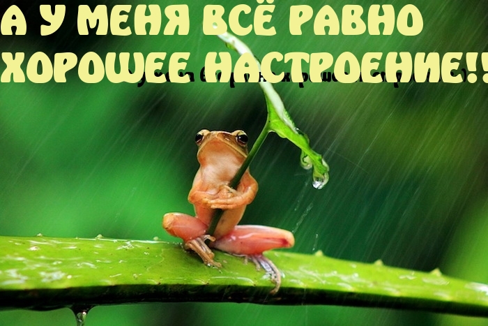 ВСЁ РАВНО  ХОРОШЕЕ НАСТРОЕНИЕ