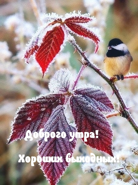 Доброго утра!