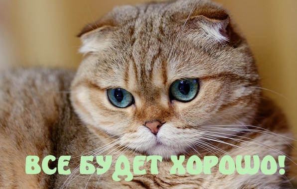 ВСЕ БУДЕТ ХОРОШО!