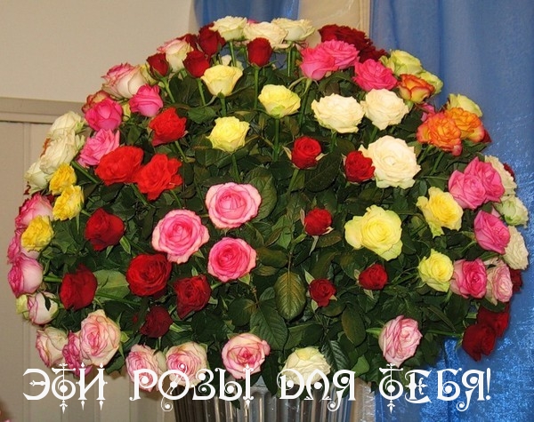 Тебе розы