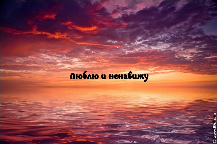 Люблю и ненавижу