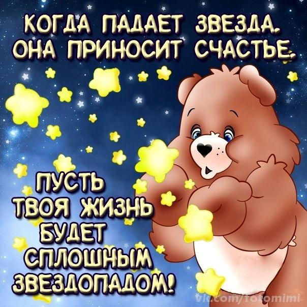 Звездопад тебе в жизнь