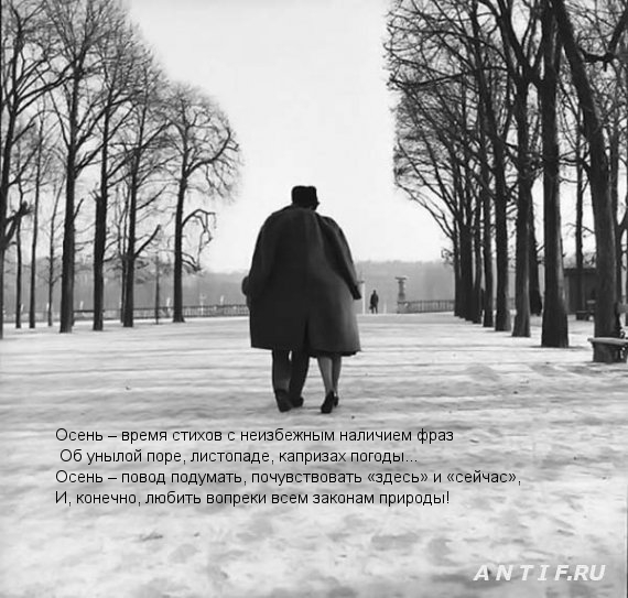 Осень – время стихов
