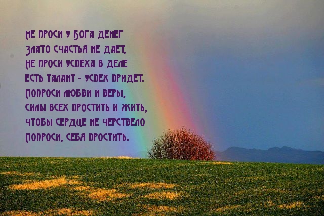 Лучше попроси прощения