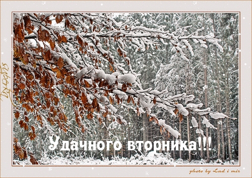 Удачного вторника!