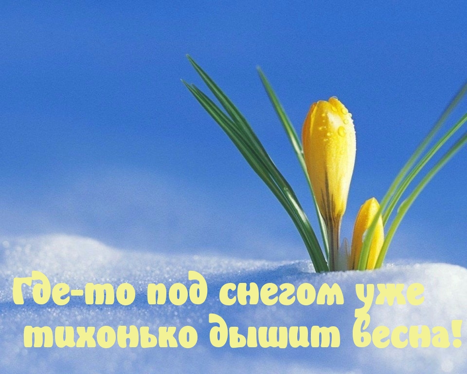 Дыхание весны