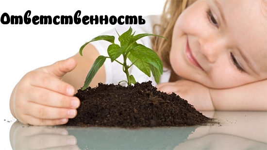 Ответственность