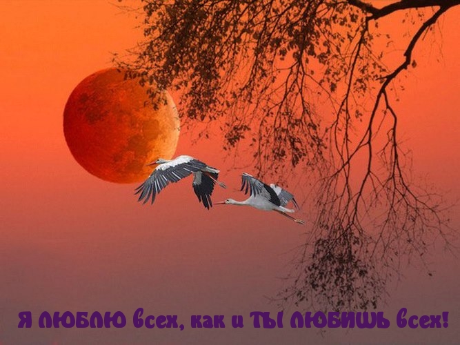 Я ЛЮБЛЮ всех