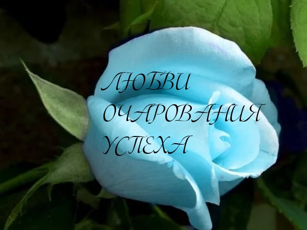 ЛЮБВИ ОЧАРОВАНИЯ УСПЕХА