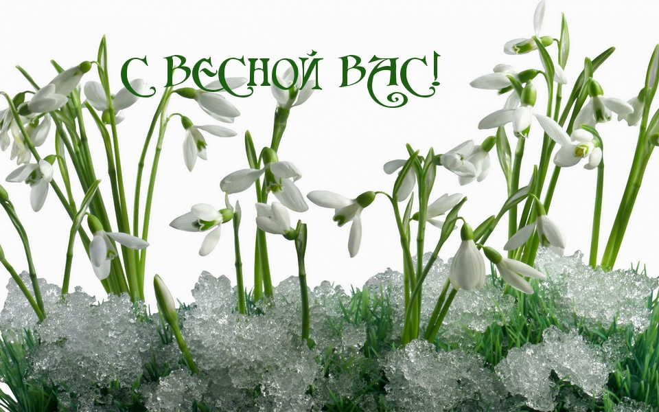 С ВЕСНОЙ ВАС!