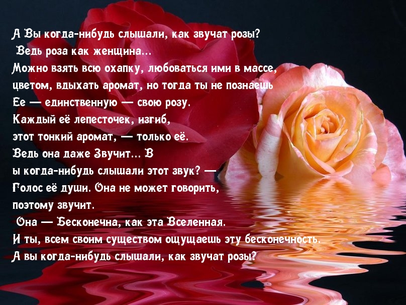 Как звучат розы?