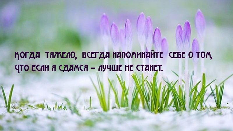 Сдамся – лучше не станет