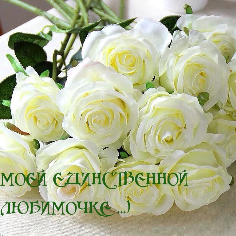 МОЕЙ ЕДИНСТВЕННОЙ
