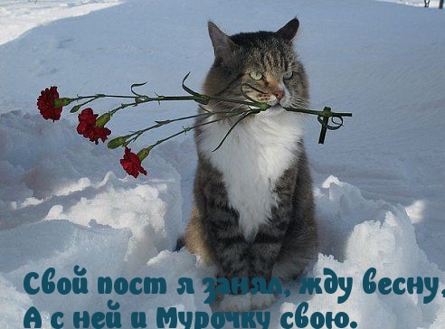 С весной ждём своё