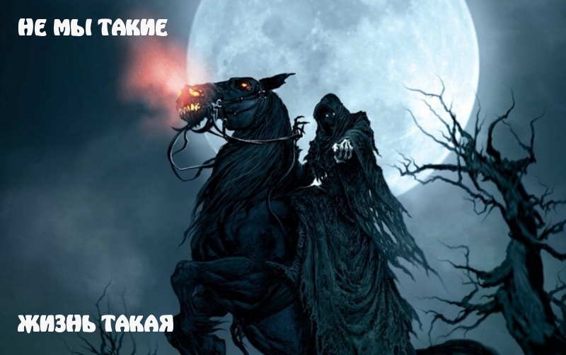 НЕ МЫ ТАКИЕ  ЖИЗНЬ ТАКАЯ
