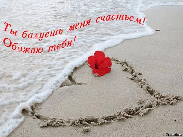 Обожаю тебя!