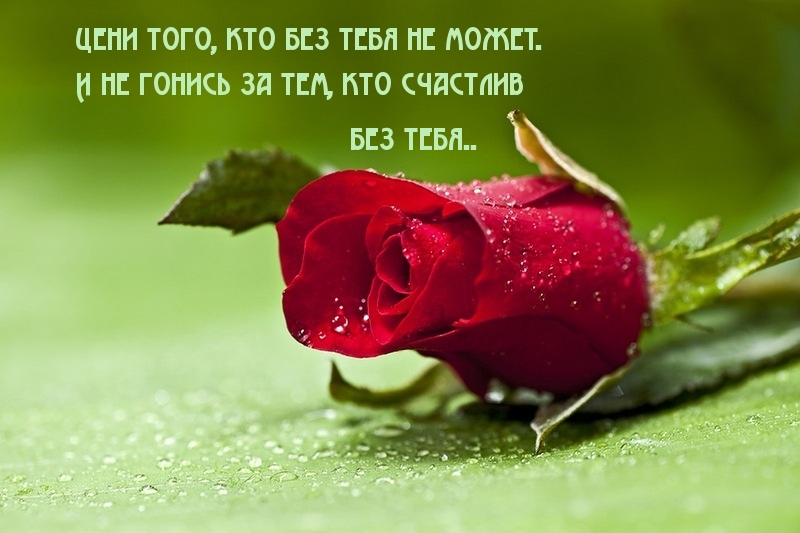 Цени того,кто без тебя не может