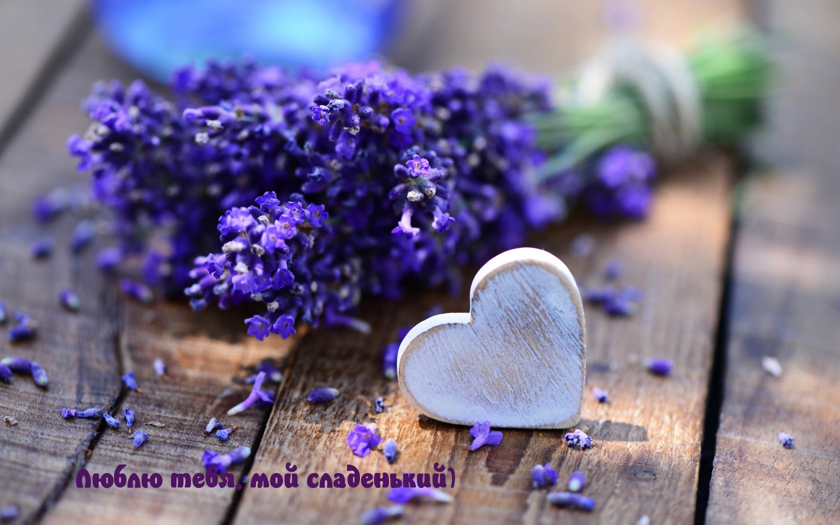 Люблю тебя, мой сладенький)