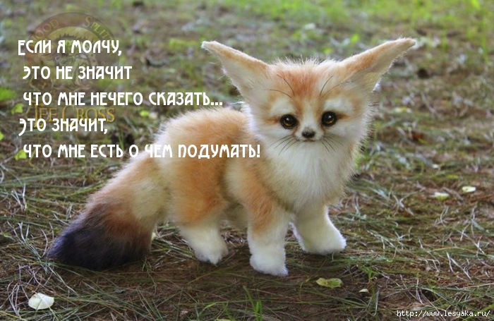 Если я молчу