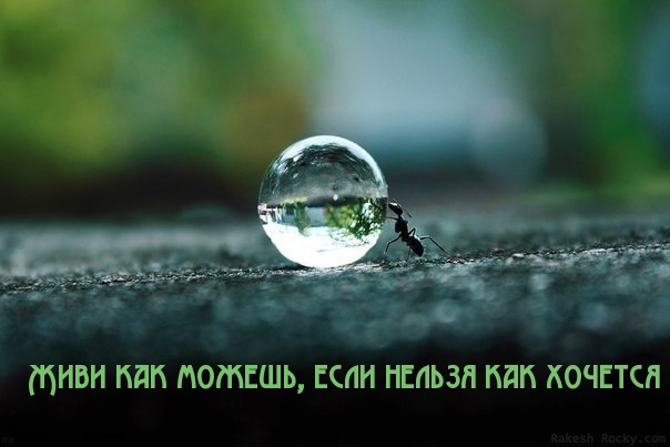 Живи как можешь