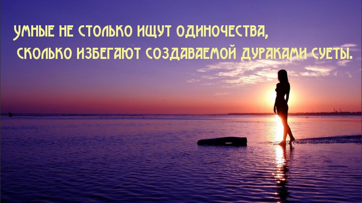 Умные не ищут одиночества, а избегают суеты