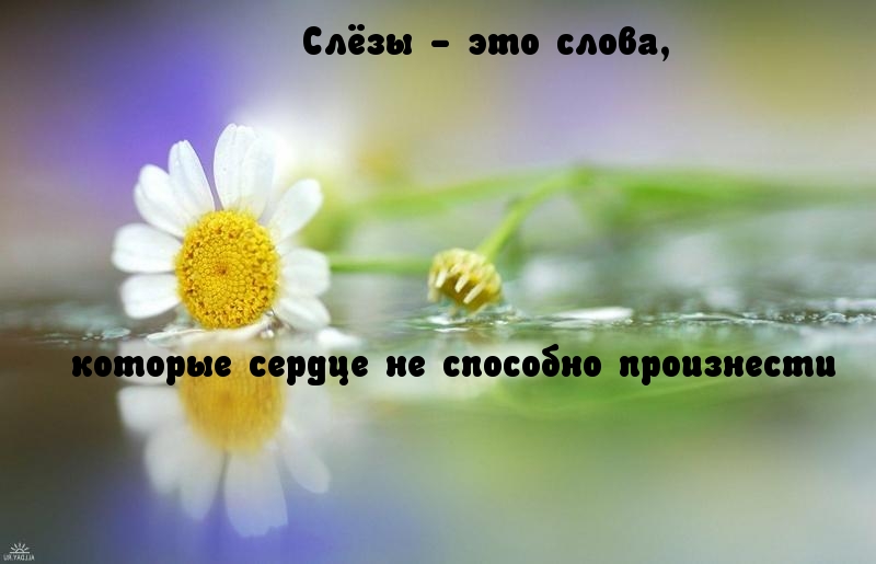 Слёзы — это слова
