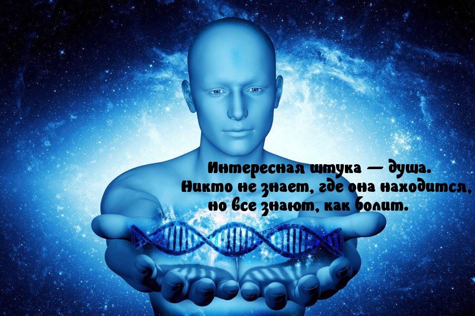 Интересная штука — душа