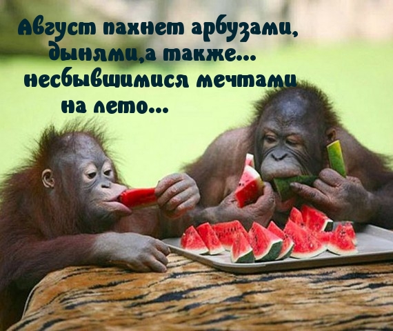 Чем пахнет август