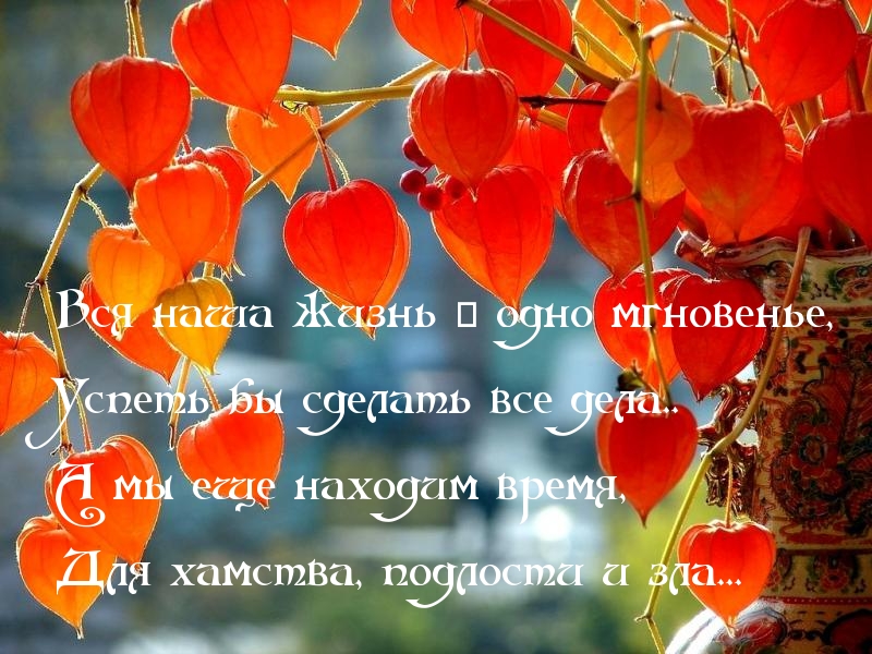 Вся наша жизнь — одно мгновенье