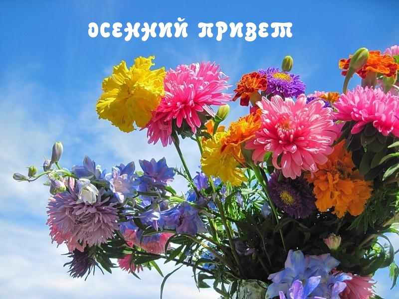 ОСЕННИЙ ПРИВЕТ
