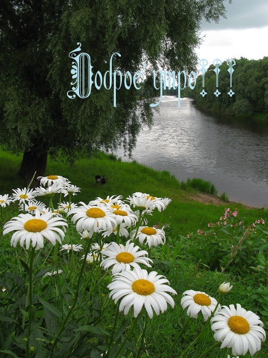 Доброе утро