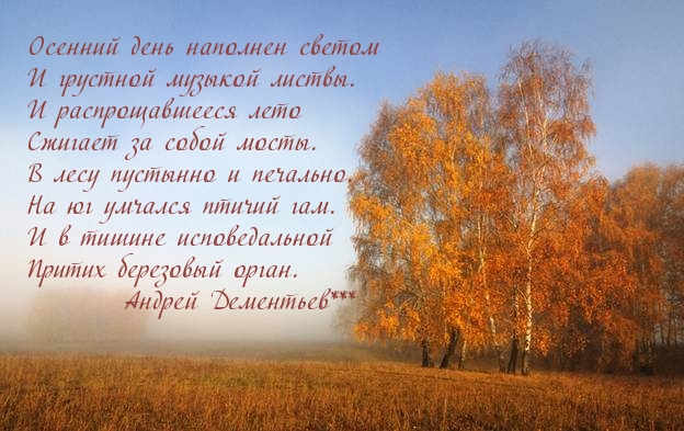 Осенний день наполнен светом
