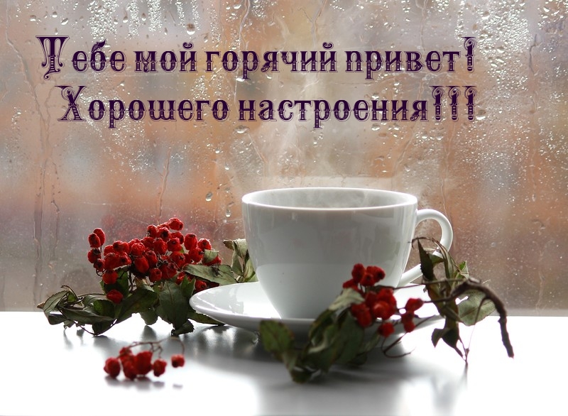 Тебе мой горячий привет