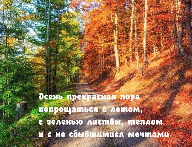 Осень прекрасная пора