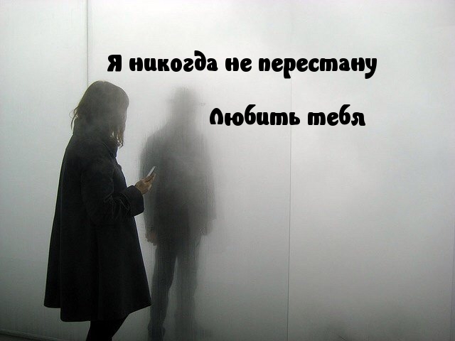 Я никогда не перестану любить тебя