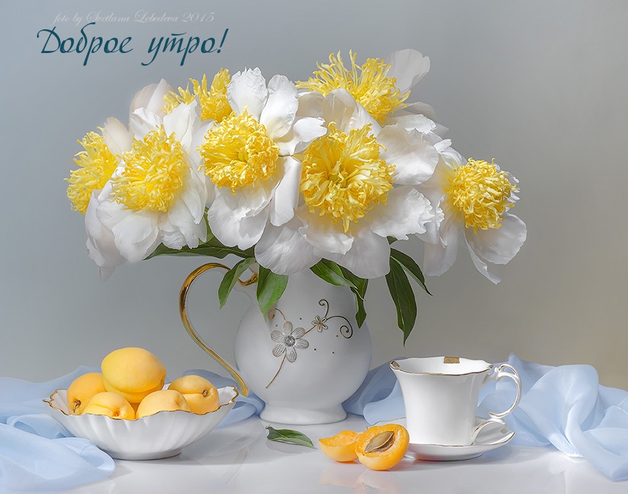 Доброе утро