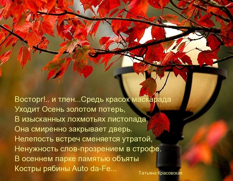 Сред красок маскарада