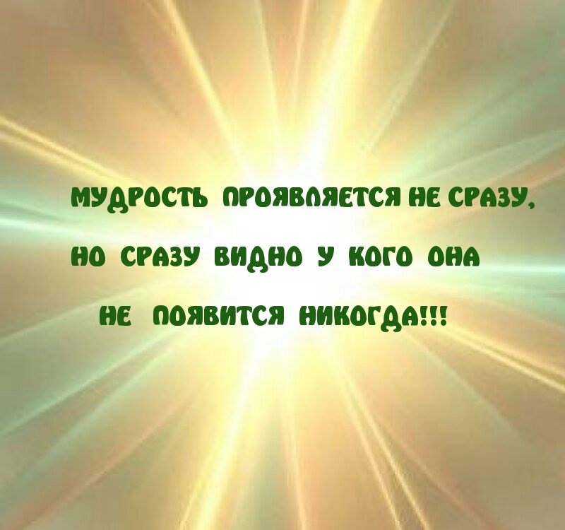 МУДРОСТЬ ПРОЯВЛЯЕТСЯ НЕ СРАЗУ