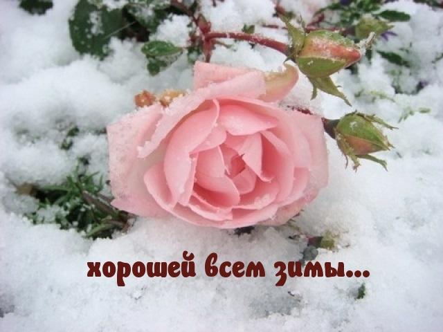 хорошей всем зимы