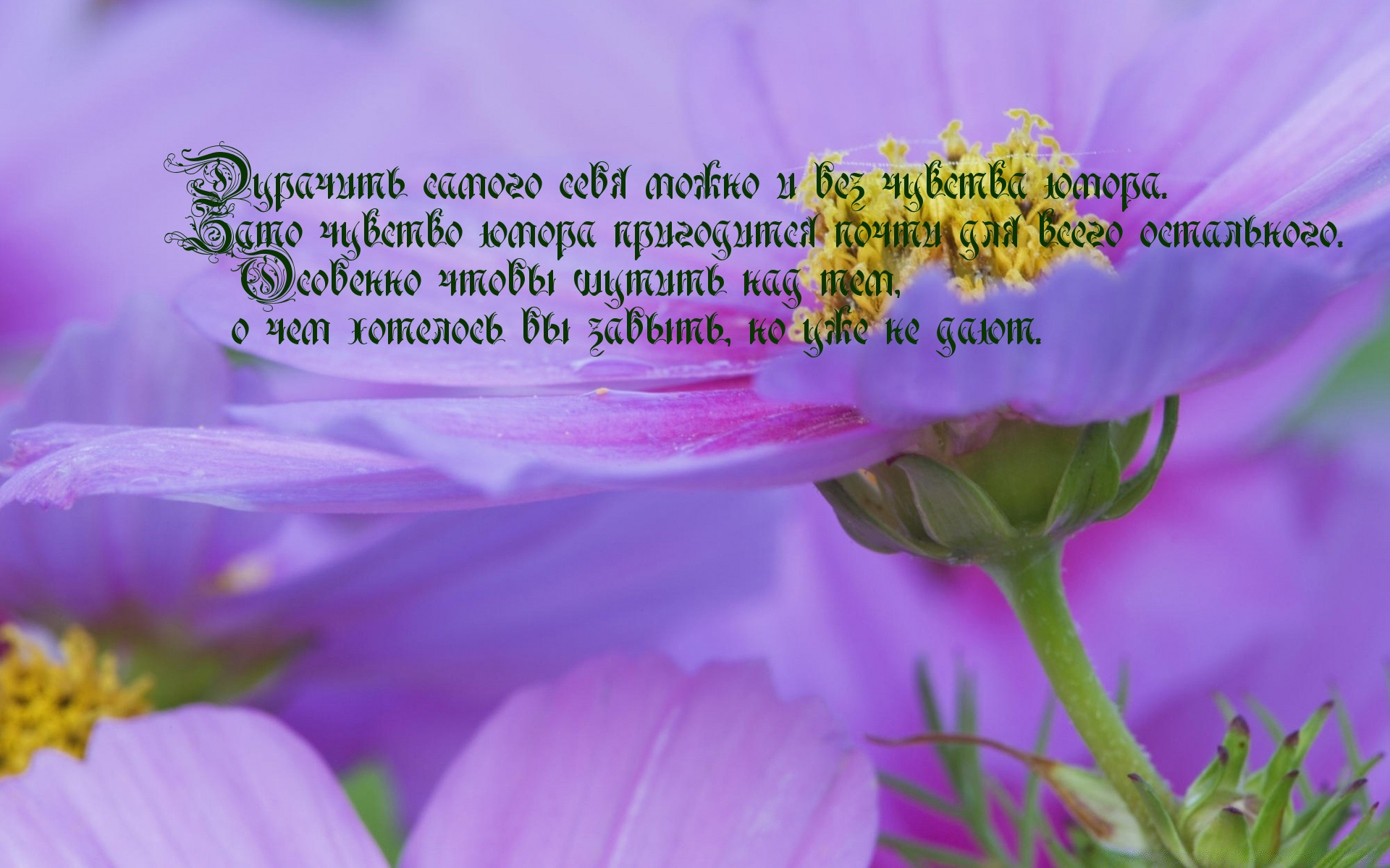 Дурачить самого себя