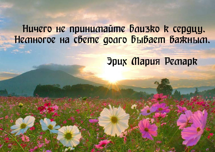 Ничего не принимайте близко к сердцу