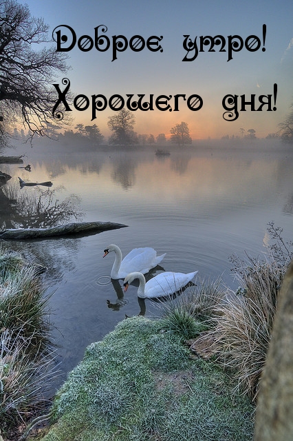 Доброе утро! Хорошего дня!