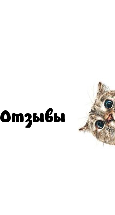 Отзывы