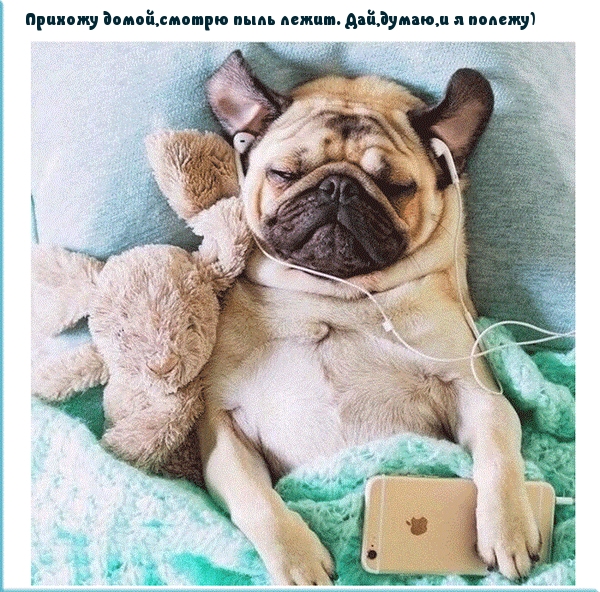 Прихожу домой,смотрю пыль лежит.