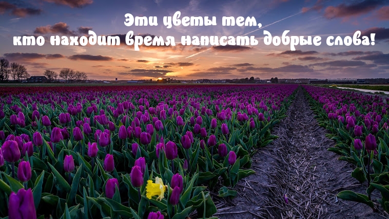 Тем, кто находит время написать добрые слова
