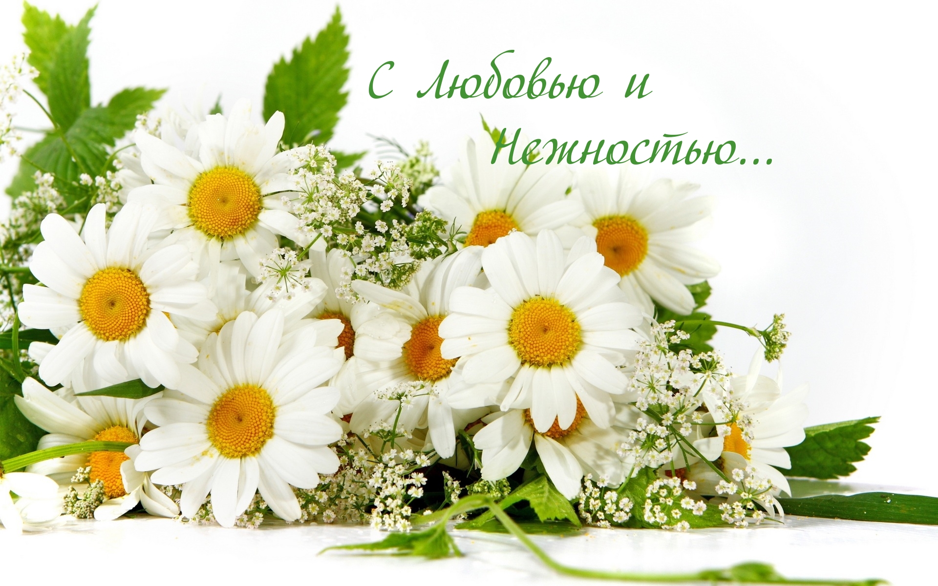 С Любовью и Нежностью…