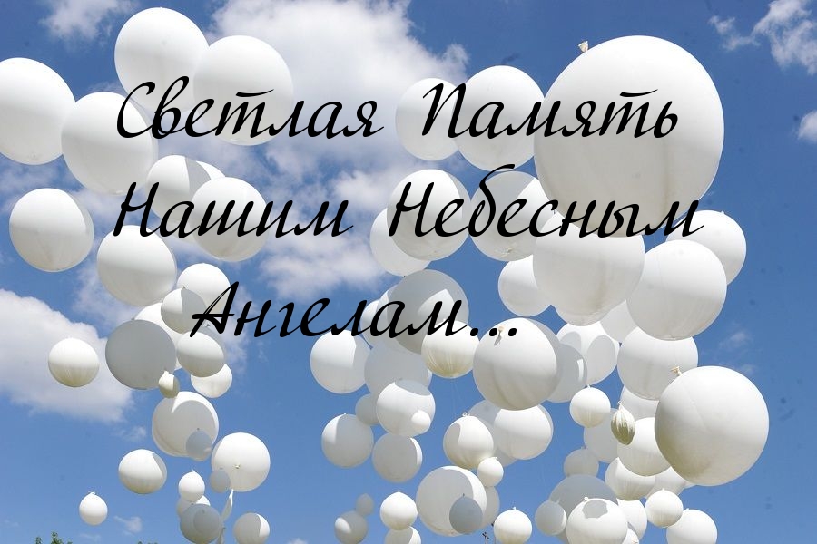 Светлая Память Нашим Небесным   Ангелам…
