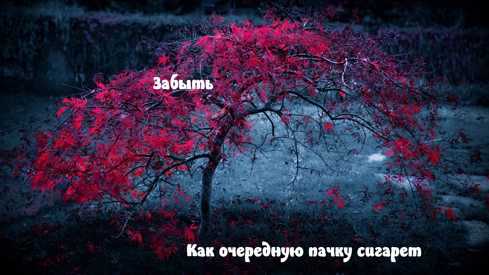 Забыть