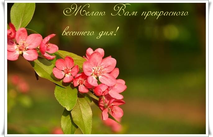 Желаю Вам прекрасного весеннего дня!