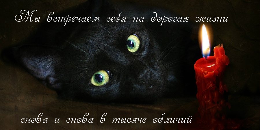 Мы встречаем себя на дорогах жизни